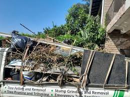 Best Dumpster Rental Services  in Swartz Creek, MI